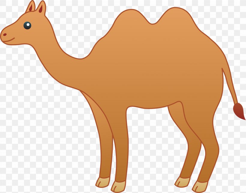 Bactrian Camel Cartoon Drawing Clip Art, PNG, 7934x6232px, Bactrian Camel, Arabian Camel, Camel, Camel Like Mammal, Camel Train Download Free