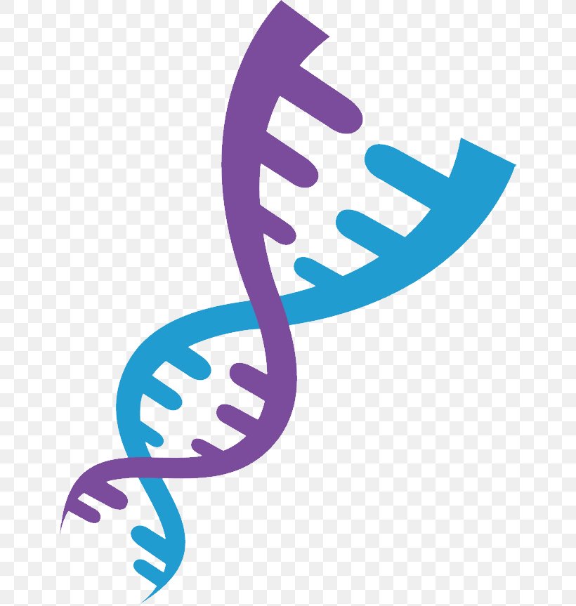 DNA Clip Art, PNG, 650x863px, Dna, Biology, Gene, Hand, Joint Download Free