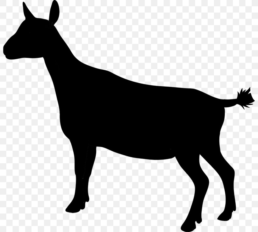 Goat Mustang Cattle Donkey Sheep, PNG, 800x739px, Goat, Blackandwhite, Bovine, Cattle, Chamois Download Free