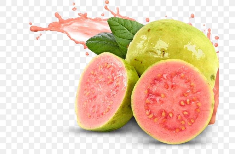Juice Guava Tropical Fruit Flavor, PNG, 709x538px, Juice, Citrullus, Common Guava, Diet Food, Drink Download Free