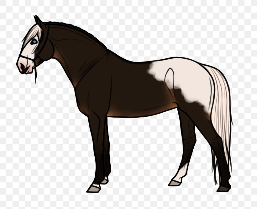 Stallion Horse Goat Pony Mane, PNG, 800x666px, Stallion, Agriculture, Animal, Bridle, Colt Download Free