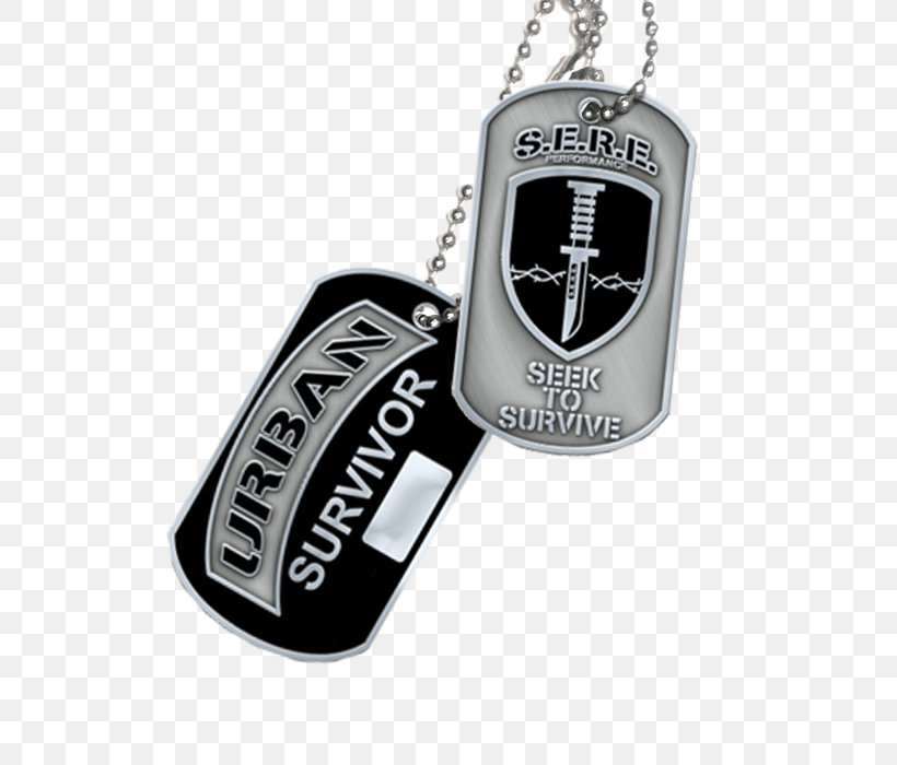 Charms & Pendants Clothing Accessories Jewellery Silver, PNG, 554x700px, Charms Pendants, Brand, Clothing Accessories, Dog Tag, Fashion Download Free