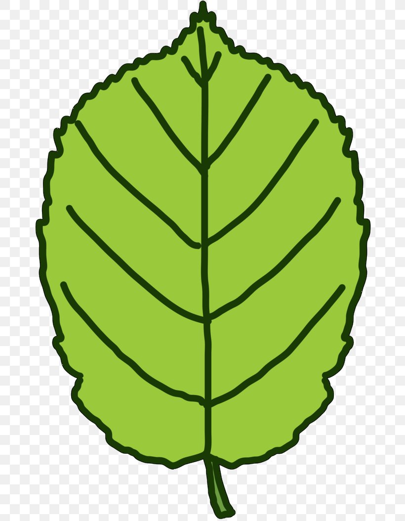 Clip Art Plant Stem Leaf Line Commodity, PNG, 695x1054px, Plant Stem, Botany, Commodity, Fruit, Green Download Free