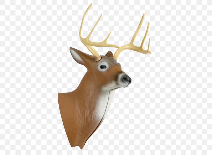 Deer Target Archery Hunting Shooting Target, PNG, 600x600px, Deer, Antler, Archery, Archery Games, Bow And Arrow Download Free