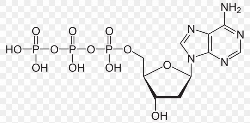 Nicotinamide Adenine Dinucleotide Phosphate Molecule Adenosine Triphosphate, PNG, 1280x630px, Molecule, Adenine, Adenosine, Adenosine Triphosphate, Area Download Free