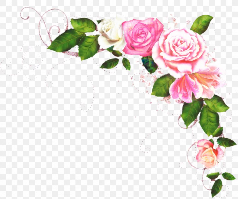 Pink Flowers Background Png 1023x858px Flower Borders And Frames Bouquet Branch Camellia Download Free