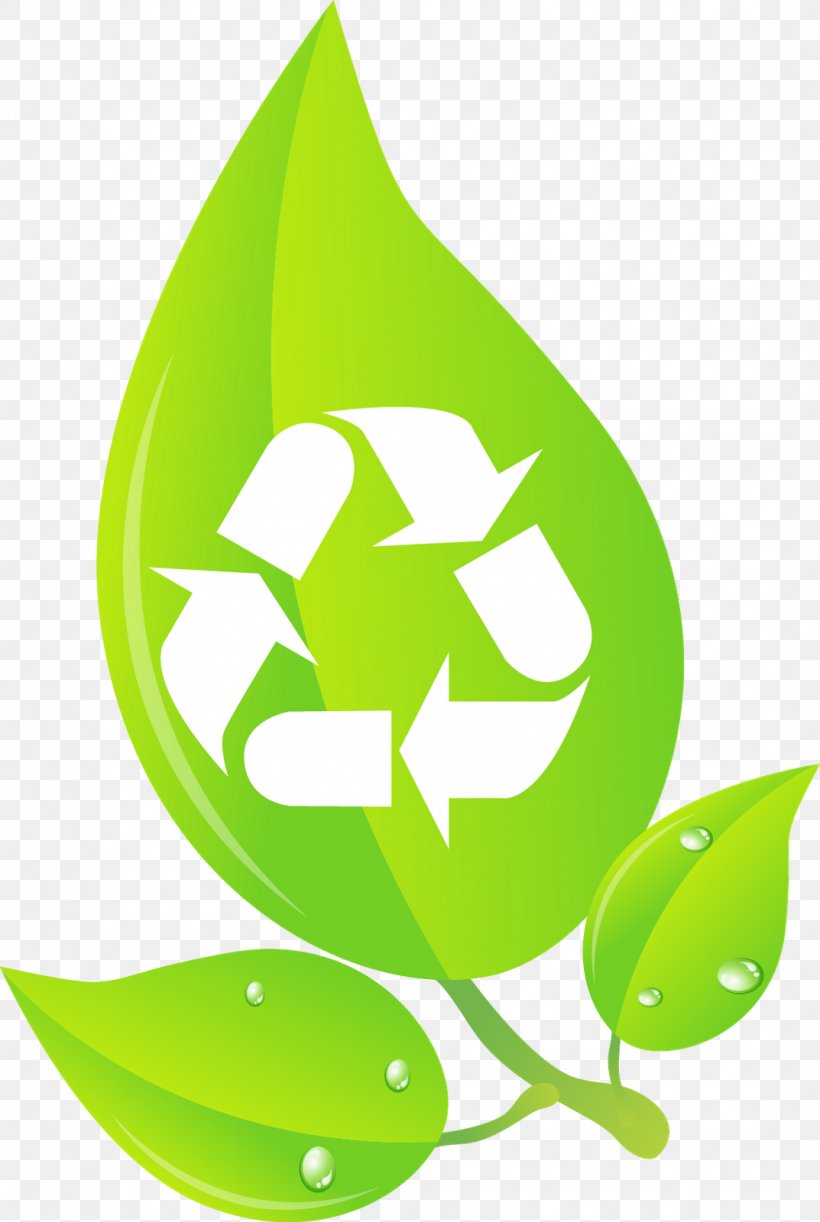 Recycling Bin Rubbish Bins & Waste Paper Baskets Recycling Symbol, PNG, 1073x1600px, Recycling Bin, Decal, Flora, Fruit, Grass Download Free