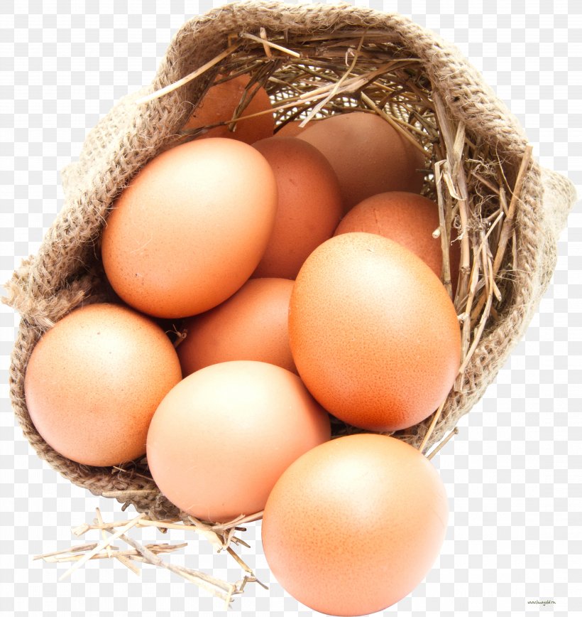 Chicken Organic Food Organic Egg Production Free-range Eggs, PNG, 4379x4636px, Chicken, Bocadillo, Chicken As Food, Chicken Egg, Egg Download Free