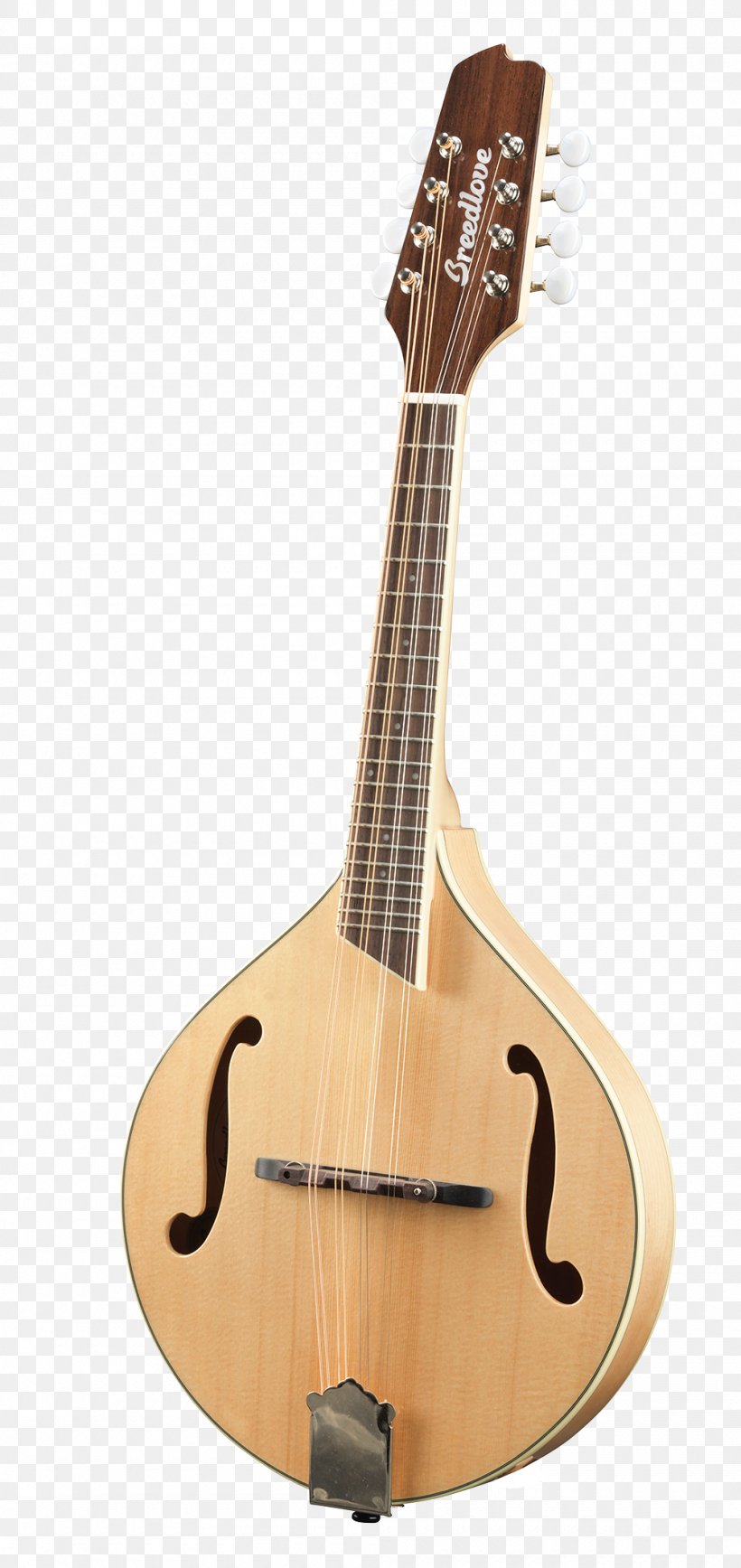 Tiple Mandolin Acoustic Guitar Cuatro Cavaquinho, PNG, 1000x2117px, Watercolor, Cartoon, Flower, Frame, Heart Download Free