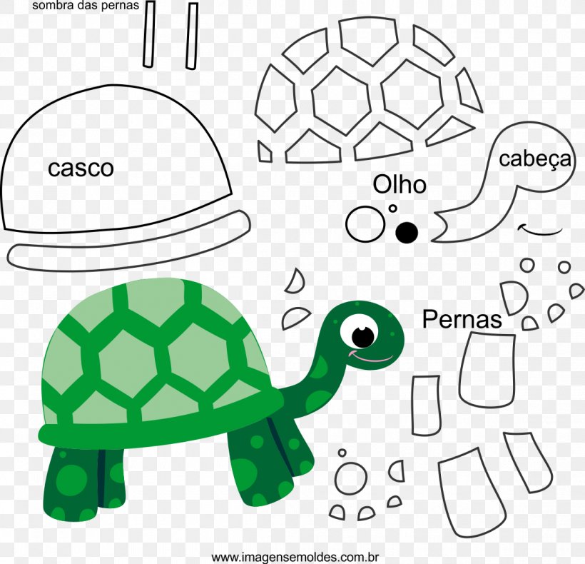 Tortoise Sea Turtle Molde Drawing, PNG, 1145x1104px, Tortoise, Area, Diagram, Drawing, Eye Download Free