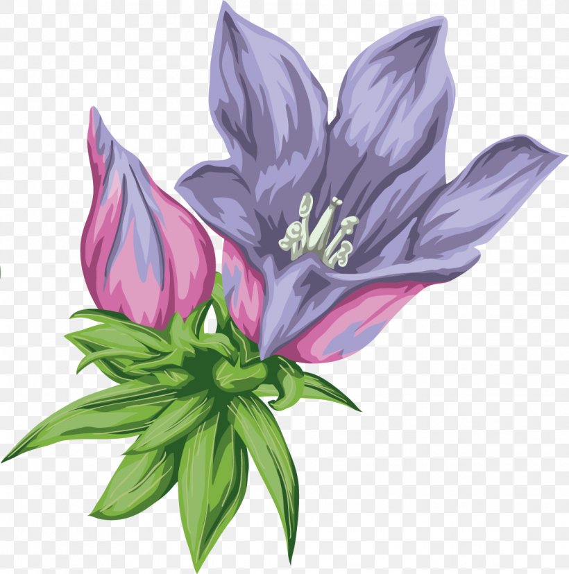 Bellflowers Desktop Wallpaper Clip Art, PNG, 1138x1150px, Flower, Bellflowers, Digital Image, Directory, Display Resolution Download Free