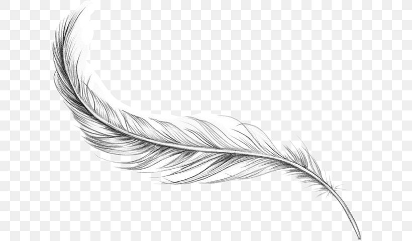 Bird Feather Tattoo Artist Ankle, PNG, 620x480px, Bird, Ankle, Arm, Beak, Black And White Download Free