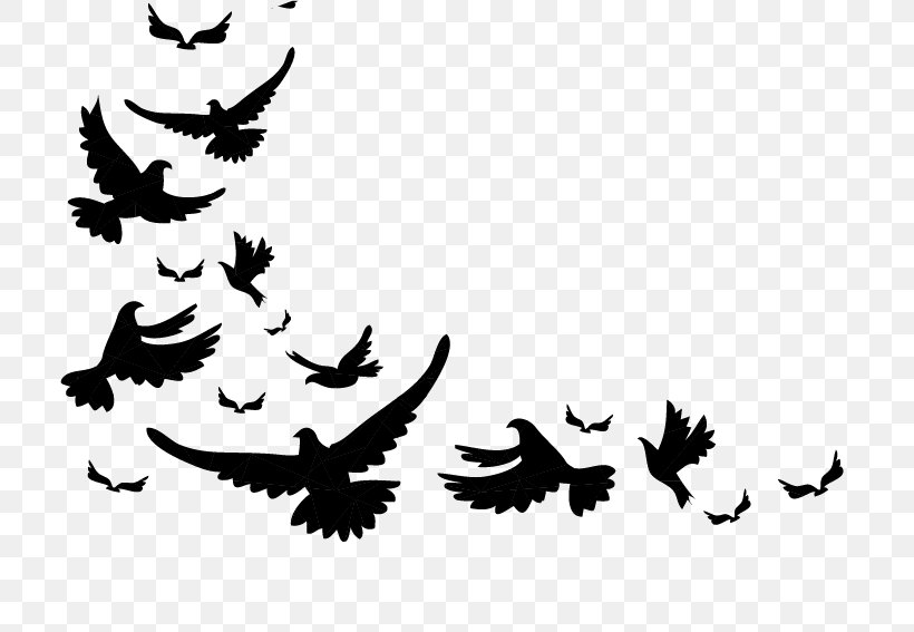 Bird Vector Graphics Illustration Image Drawing, PNG, 736x567px, Bird, Blackandwhite, Drawing, Leaf, Logo Download Free