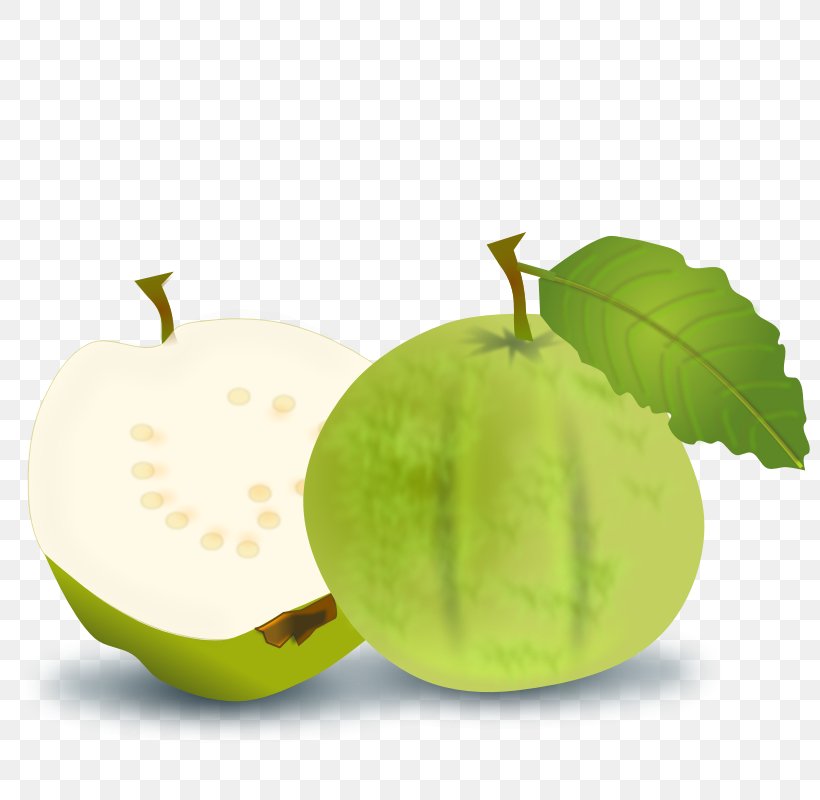 Juice Common Guava Fruit, PNG, 800x800px, Juice, Apple, Common Guava, Drawing, Food Download Free