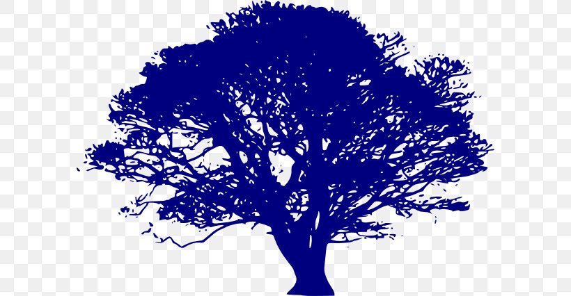 Quercus Suber English Oak Quercus Lobata Tree Clip Art, PNG, 600x426px, Quercus Suber, Black And White, Blue, Branch, Copyright Download Free