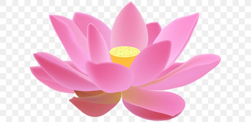 Sacred Lotus Vector Graphics Chinese New Year Mid-Autumn Festival Image, PNG, 637x400px, Sacred Lotus, Aquatic Plant, Artificial Flower, Botany, Chinese New Year Download Free