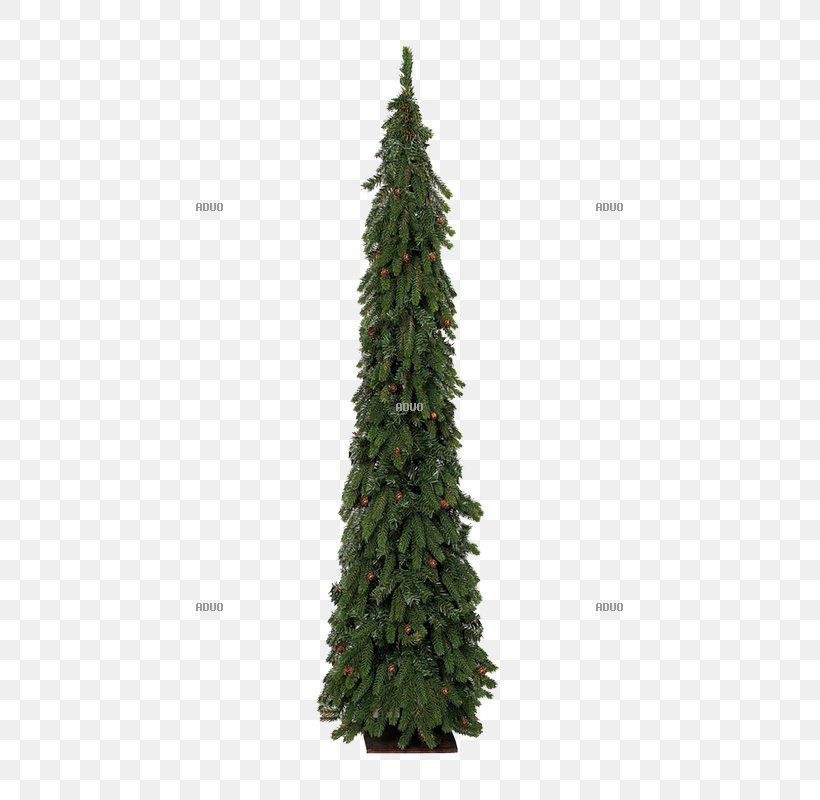 Spruce Fir Christmas Tree Pine O Tannenbaum, PNG, 800x800px, Spruce, Biome, Christmas, Christmas Decoration, Christmas Tree Download Free