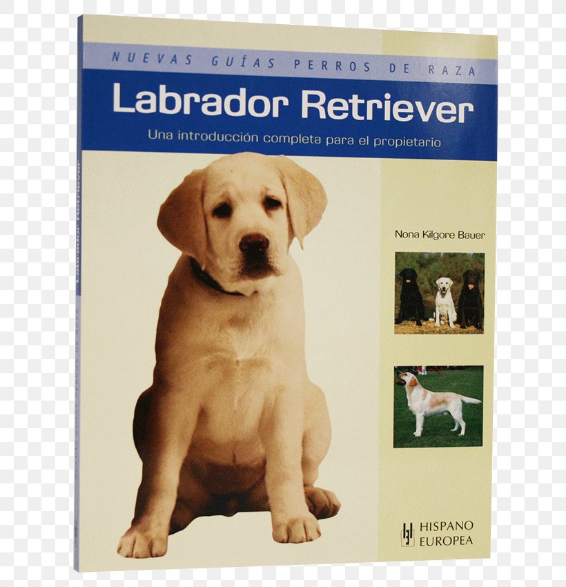 Labrador Retriever Puppy Dog Breed Companion Dog, PNG, 667x850px, Labrador Retriever, Book, Breed, Carnivoran, Companion Dog Download Free