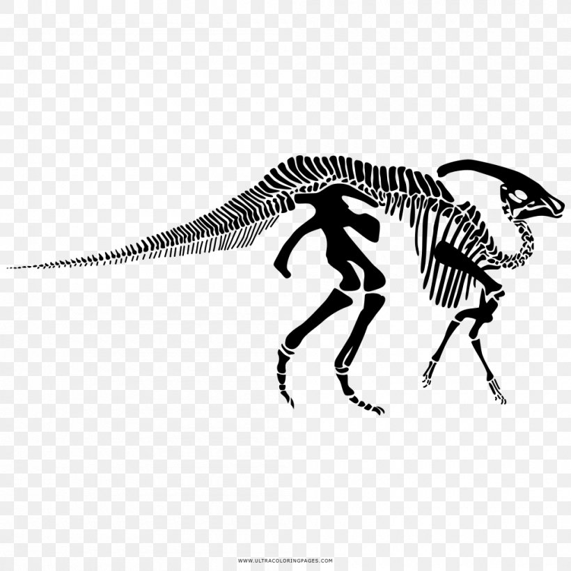 Parasaurolophus Human Skeleton Tyrannosaurus Velociraptor, PNG, 1000x1000px, Parasaurolophus, Animal, Black And White, Color, Coloring Book Download Free