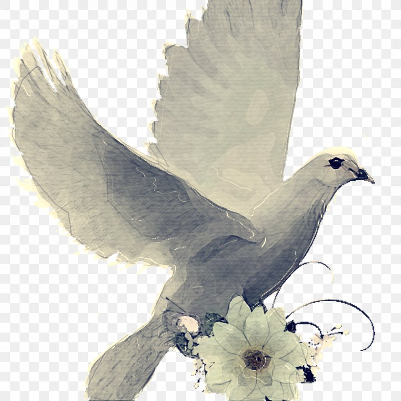 Peace And Love, PNG, 900x900px, Holy Spirit, Animal, Animal Figure, Beak, Bird Download Free