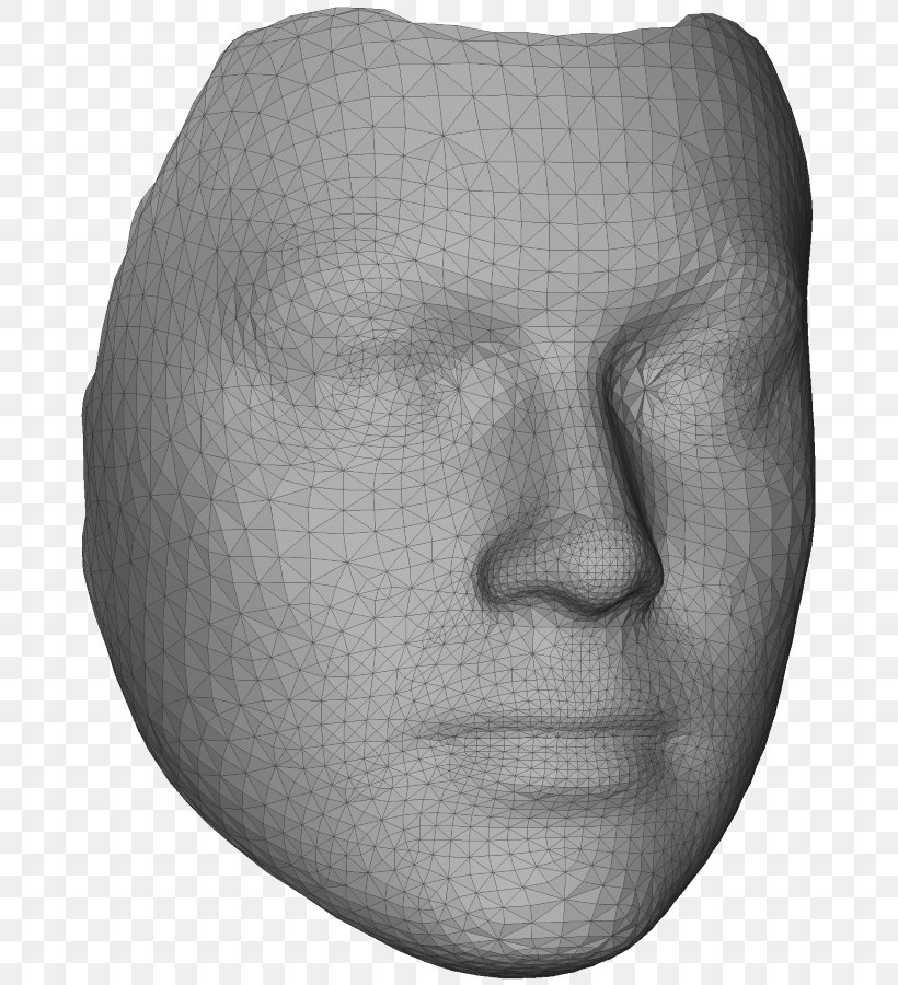 Nose Face Polygon Mesh 3D Modeling Three-dimensional Space, PNG, 687x900px, 3d Computer Graphics, 3d Modeling, Nose, Black And White, Cmake Download Free