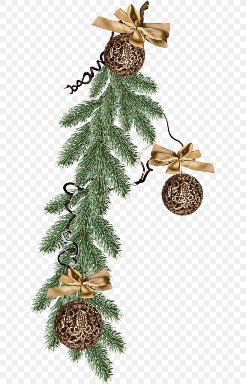 Spruce Christmas Ornament Christmas Tree Fir Pine, PNG, 617x1280px, Spruce, Branch, Christmas, Christmas Decoration, Christmas Ornament Download Free