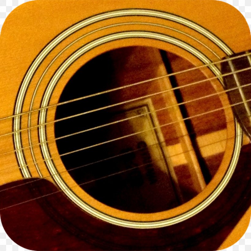 Acoustic Guitar Tiple Bass Guitar Cavaquinho Cuatro, PNG, 1024x1024px, Watercolor, Cartoon, Flower, Frame, Heart Download Free