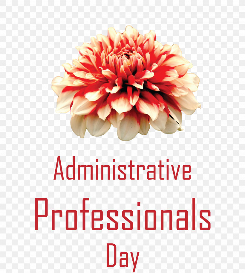 Administrative Professionals Day Secretaries Day Admin Day, PNG, 2697x3000px, Administrative Professionals Day, Admin Day, Biology, Chrysanthemum, Cut Flowers Download Free