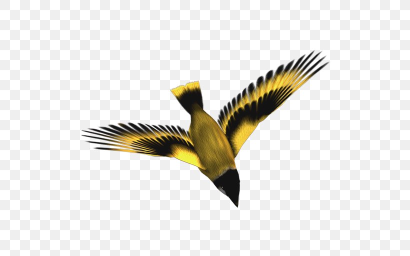 Bird Yellow-bellied Tit, PNG, 512x512px, Bird, Beak, Computer Software, Coraciiformes, Desktop Environment Download Free