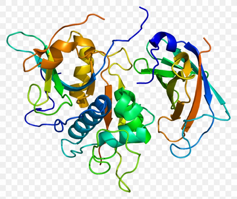 Cathepsin C Cathepsin B Cathepsin D Protease, PNG, 943x792px, Cathepsin, Area, Artwork, Aspartic Protease, Biochemistry Download Free