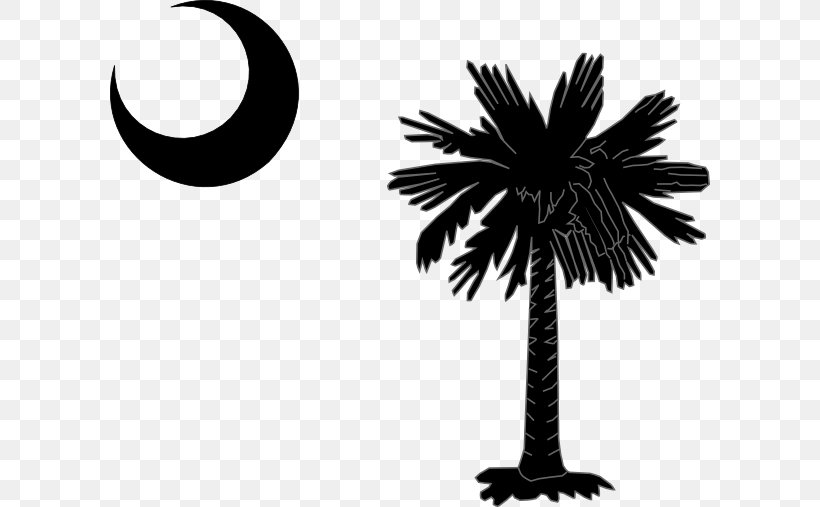 Flag Of South Carolina Sabal Palm Palm Trees, PNG, 600x507px, South Carolina, Arecales, Black And White, Borassus Flabellifer, Branch Download Free