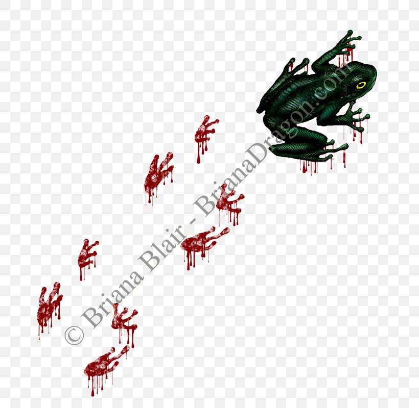 Frog Tracks Ski Bindings Rail Transport Font, PNG, 800x800px, Ski Bindings, Frog, Greeting Note Cards, Rail Transport, Ski Download Free