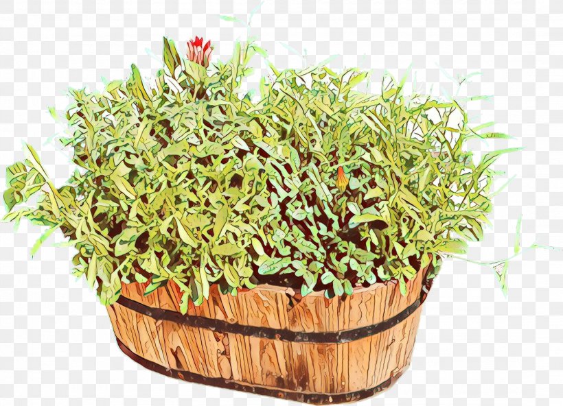 Herb, PNG, 2188x1582px, Herb, Alfalfa Sprouts, Flower, Flowering Plant, Flowerpot Download Free