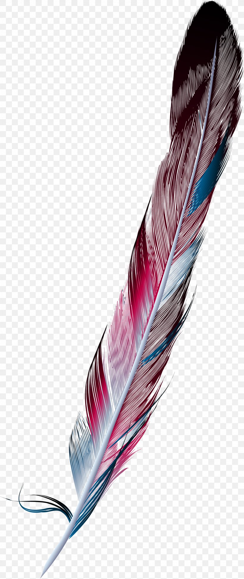 Feather Painting Drawing, PNG, 1501x3558px, Feather, Color, Designer, Drawing, Painting Download Free