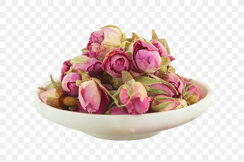 France Garden Roses Beach Rose Centifolia Roses Flowering Tea, PNG, 682x544px, France, Artificial Flower, Beach Rose, Centifolia Roses, Cut Flowers Download Free