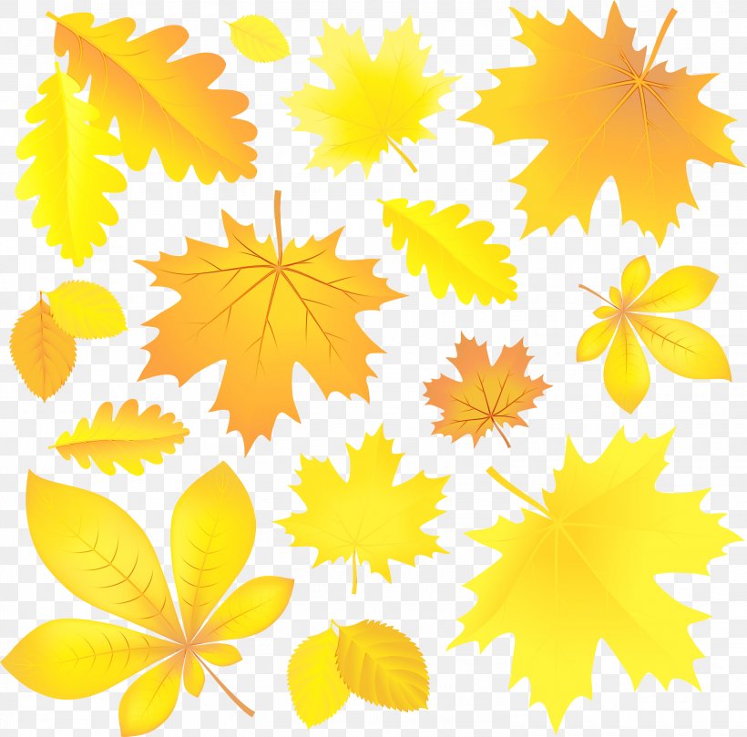 Autumn Leaves Watercolor, PNG, 3000x2961px, Watercolor, Autumn, Autumn Leaf Color, Autumn Leaves Set, Flower Download Free