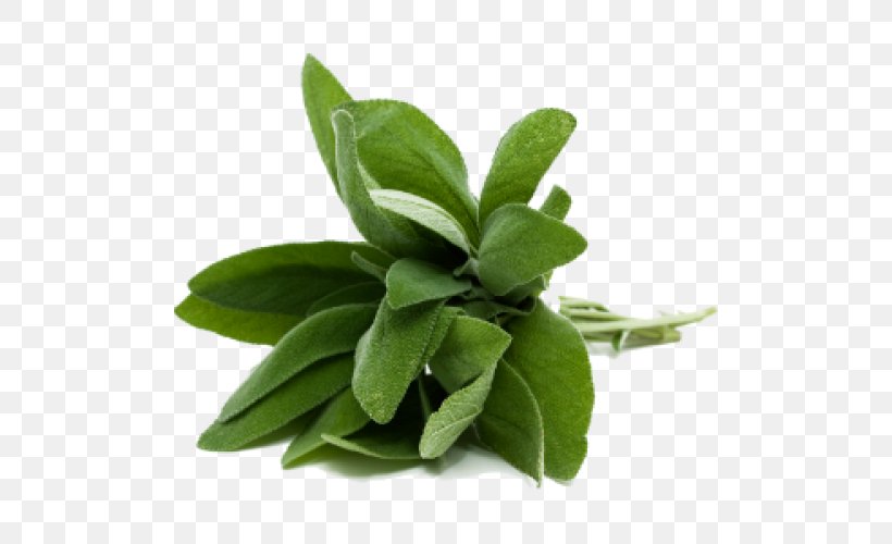 Common Sage Herb Food Olive Oil Thyme, PNG, 500x500px, Common Sage, Aufguss, Cooking, Essential Oil, Flavor Download Free