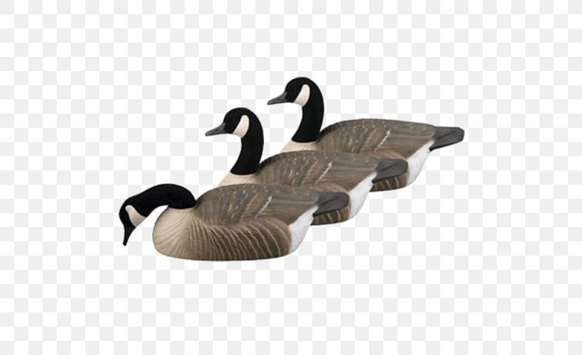Duck Canada Goose Mallard Decoy, PNG, 500x500px, Duck, Beak, Bird, Canada, Canada Goose Download Free