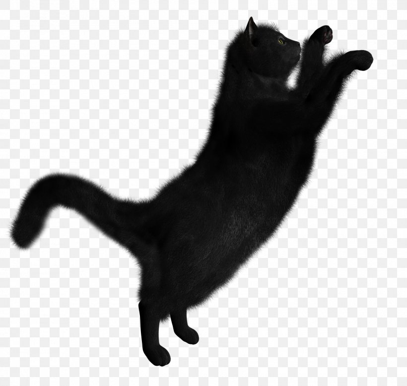 Black Cat Kitten, PNG, 1600x1520px, Cat, Black, Black And White, Black Cat, Bombay Download Free