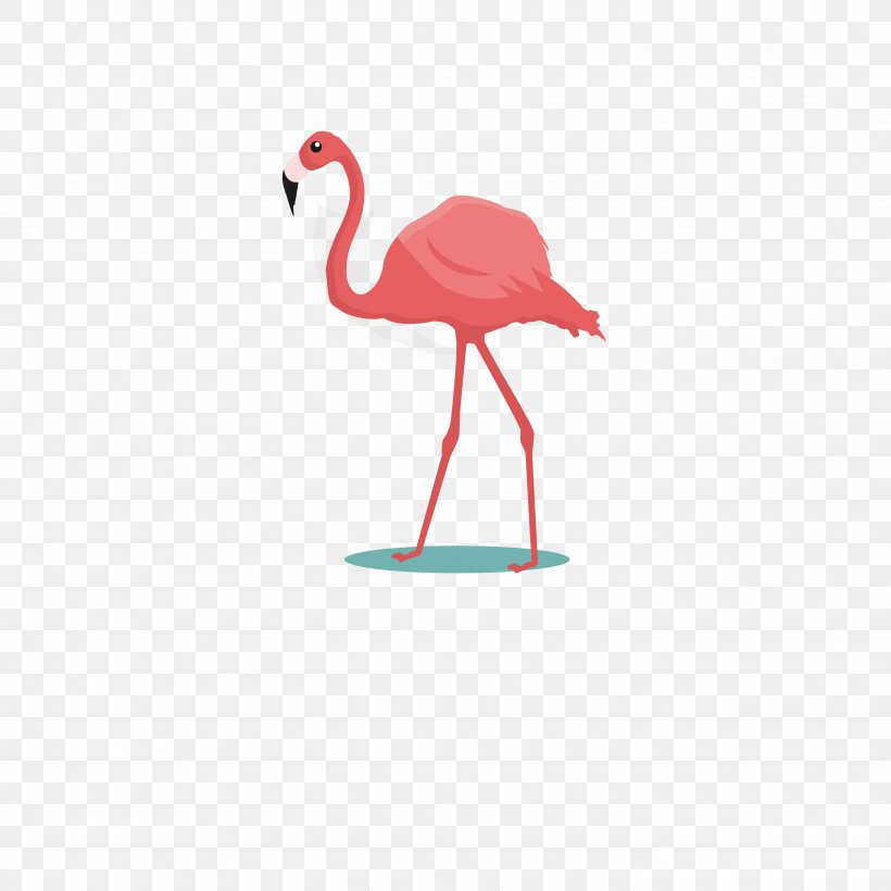 Flamingos Bird Common Ostrich Parrot Cartoon, PNG, 2836x2836px, Flamingos, Animation, Beak, Bird, Cartoon Download Free