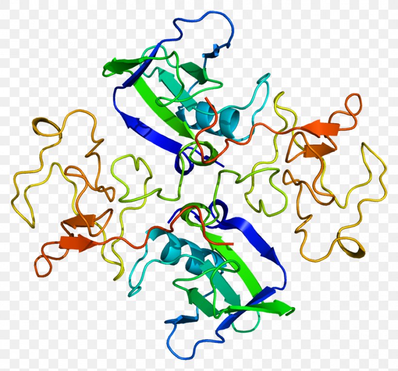 Hepatocyte Growth Factor C-Met Receptor Tyrosine Kinase, PNG, 932x870px, Hepatocyte Growth Factor, Amino Acid, Area, Art, Artwork Download Free