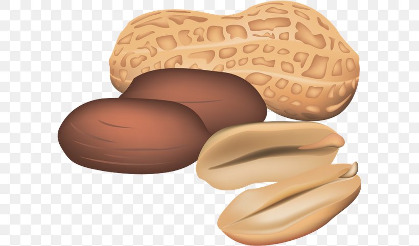 Peanut Clip Art, PNG, 600x482px, Peanut, Drawing, Food, Ingredient, Nut Download Free