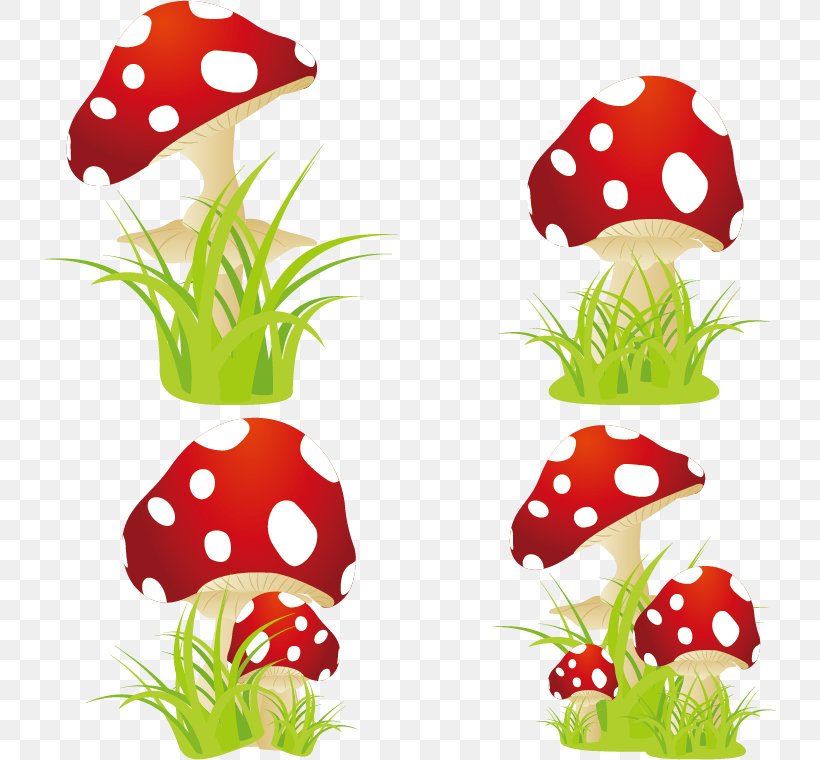 Amanita Muscaria Edible Mushroom, PNG, 732x760px, Amanita Muscaria, Amanita, Drawing, Edible Mushroom, Floral Design Download Free