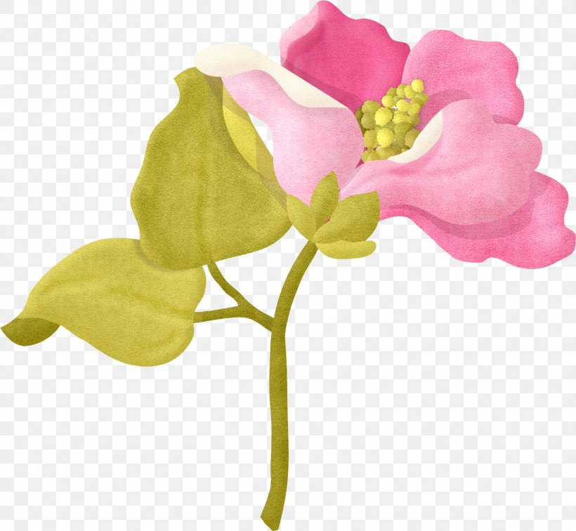 Clip Art Pea Plants Petal Bougainvillea, PNG, 1528x1410px, Pea, Artificial Flower, Bean, Botany, Bougainvillea Download Free