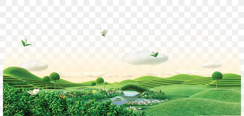 Green Tea Wallpaper, PNG, 800x393px, Tea, Computer, Ecoregion, Ecosystem, Field Download Free