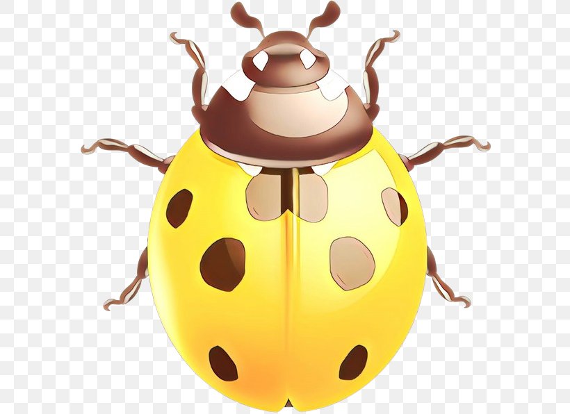 Insect Yellow Beetle Leaf Beetle Darkling Beetles, PNG, 600x596px, Cartoon, Beetle, Darkling Beetles, Insect, Leaf Beetle Download Free