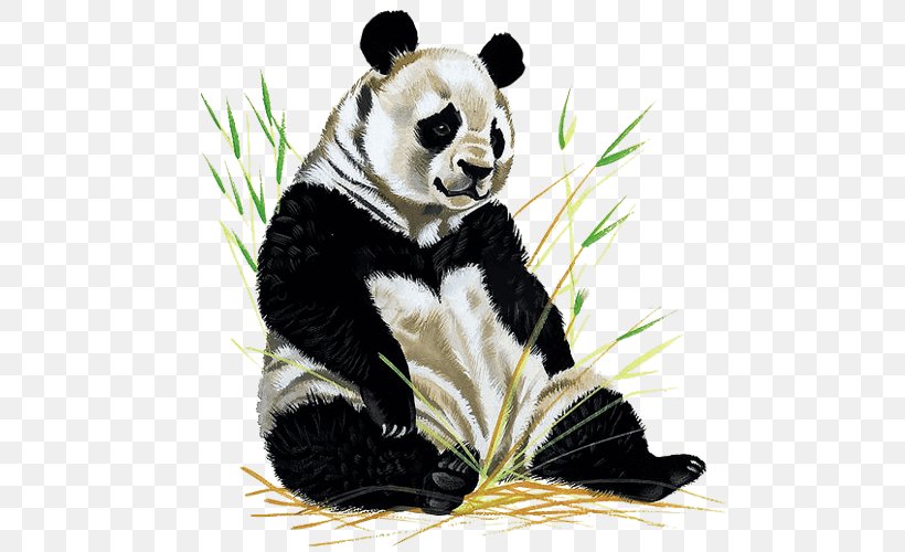 The Giant Panda Book Illustration Drawing Beijing Zoo, PNG, 600x500px, Giant Panda, Ailuropoda, Animal, Art, Art Museum Download Free