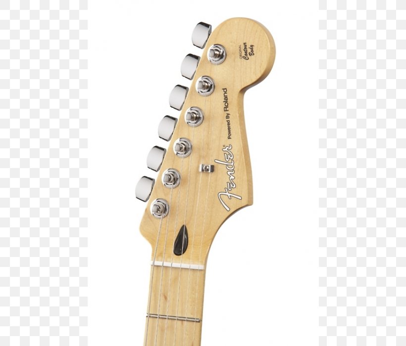 Acoustic-electric Guitar Fender Stratocaster Fender Musical Instruments Corporation, PNG, 700x700px, Acousticelectric Guitar, Acoustic Electric Guitar, Acoustic Guitar, Acoustic Music, Bass Guitar Download Free