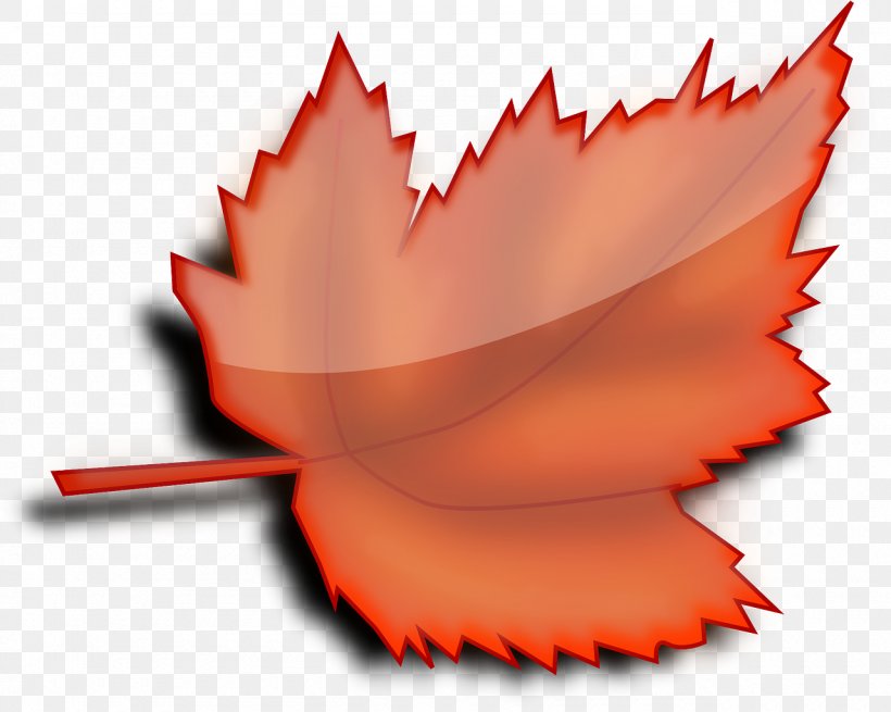 Autumn Leaf Color Clip Art, PNG, 1280x1023px, Autumn, Autumn Leaf Color, Flower, Leaf, Maple Download Free