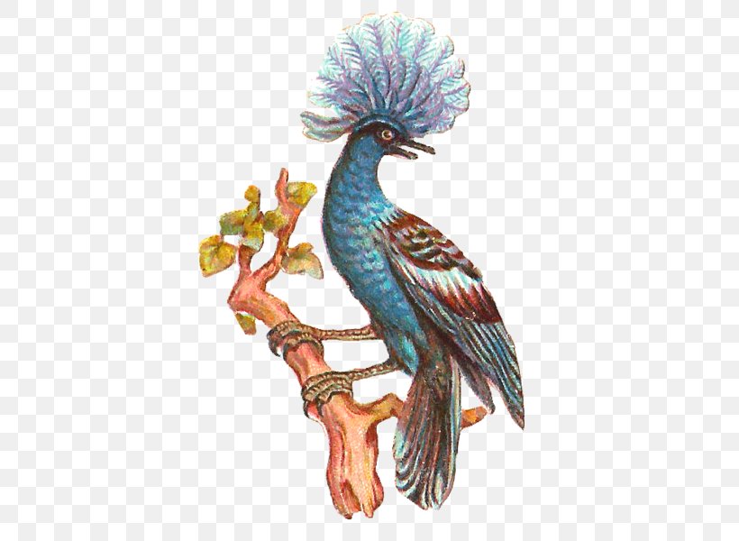 Bird Clip Art, PNG, 449x600px, Bird, Art, Beak, Birdcage, Chicken ...